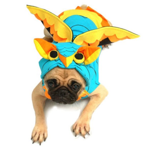 Colorful Owl Halloween Dog Pet Costume - Picture 1 of 6